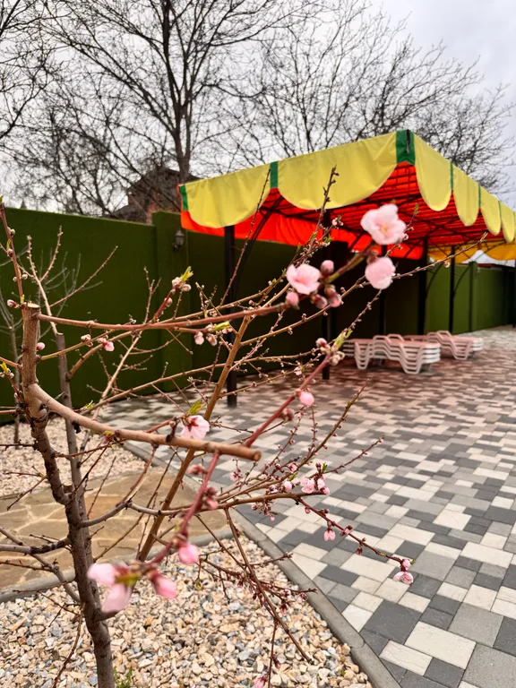 Коттедж, бассейн теплый, баня для семейного отдыха до 8 гостей