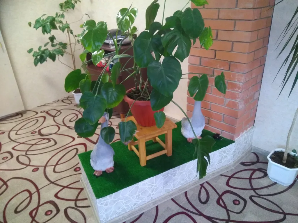 Квартира Комфорт — Лодейное Поле