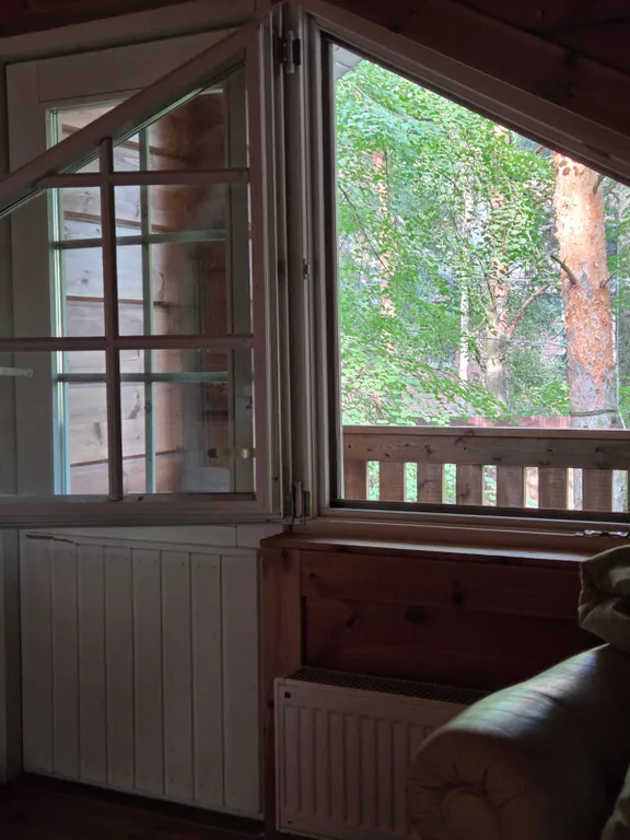 Уютный коттедж в сосновом лесу рядом с Москвой