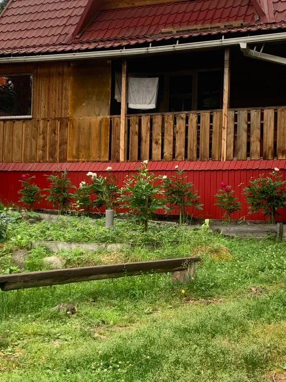 Уютный дом на берегу реки