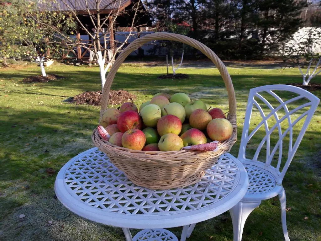 Коттедж Дом на берегу залива с баней и камином — Ключевое