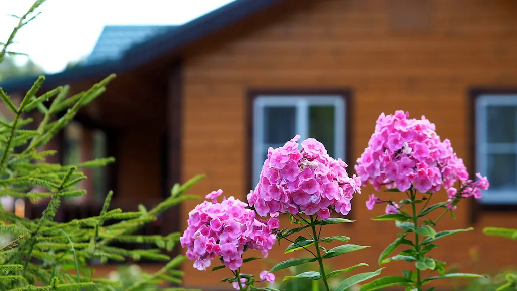 Дом на берегу