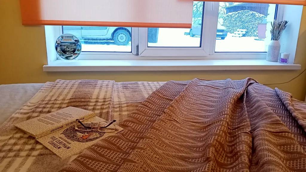 С видом на берег озера с лебедями, в историческом центре, с 1 кроватью