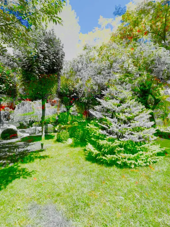 Ташкент без жары в Центре города