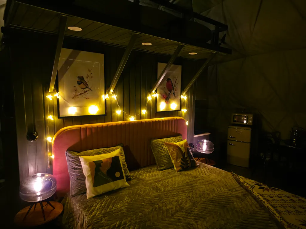 Новая сфера для глэмпинга Бёрд&Self vibe с дизайнерским интерьером