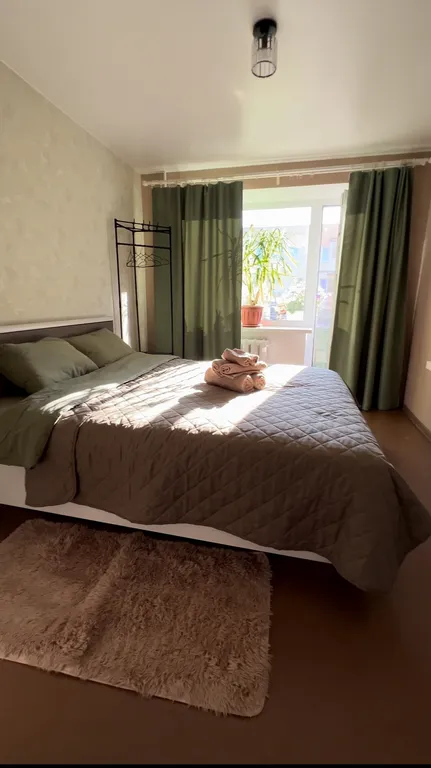 Грин Дрим (Green dream), уютная, душевная квартира в центре города