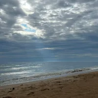 Амина