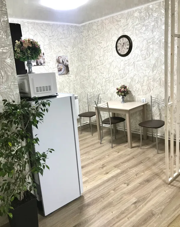 Студия в центре