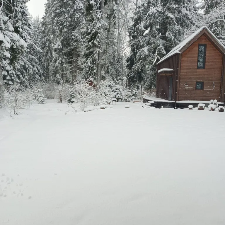 Барнхаус в лесу