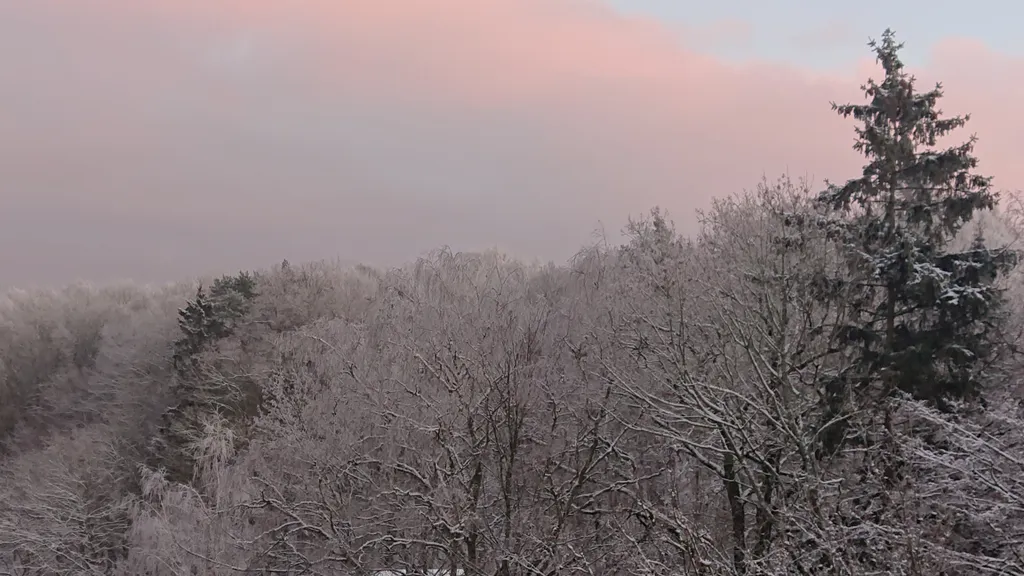 Прекрасная квартира на берегу Балтийского моря