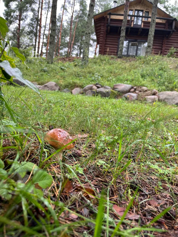 Домик на горе