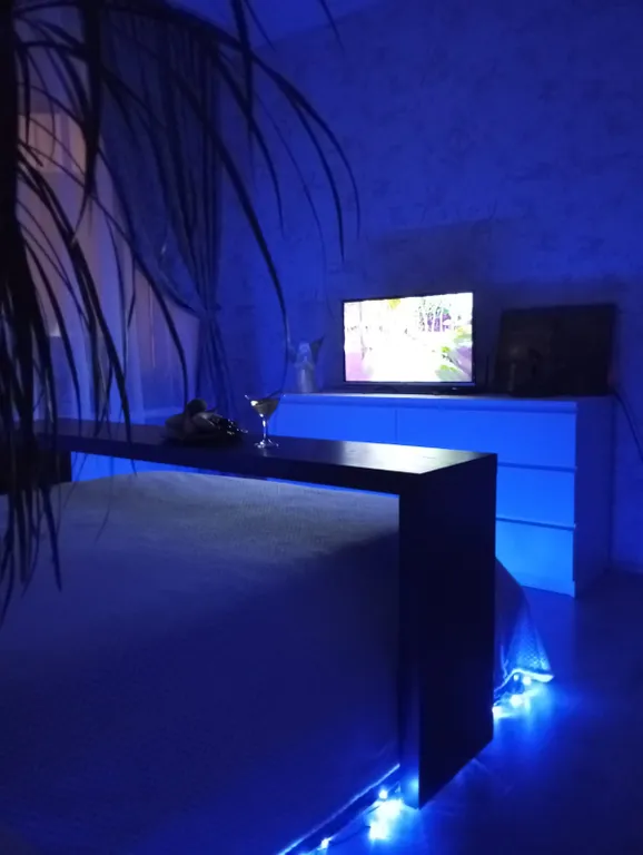 1-комнатная Квартира — аренда посуточно в Мурино