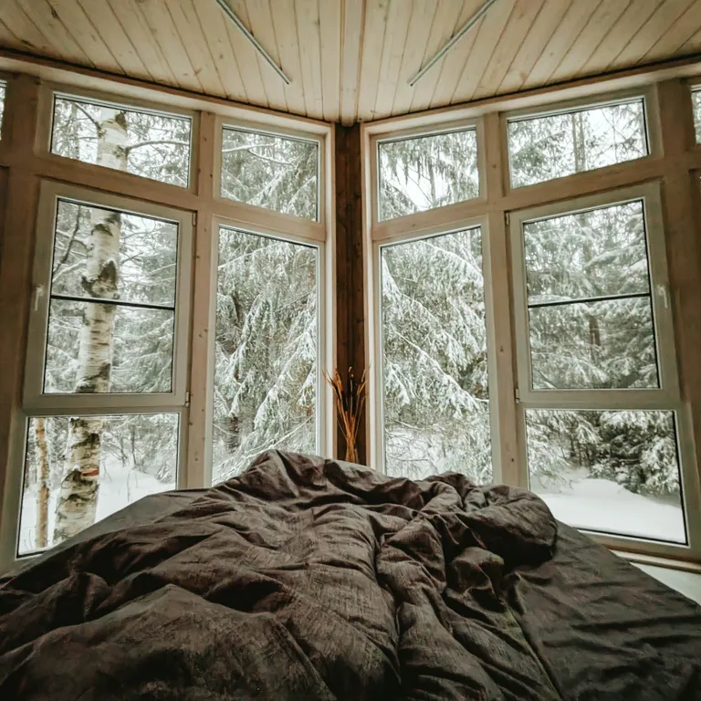 Уютный дом в лесу