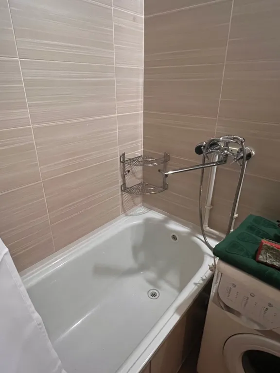 Студия Парк Плодушка