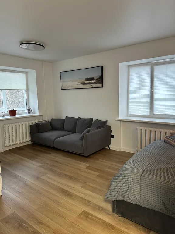 Уютная однокомнатная квартира