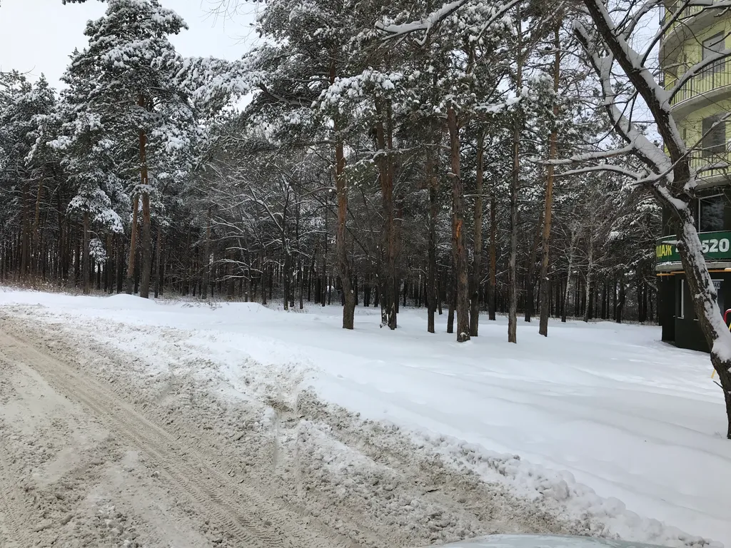 Квартира для отдыха в экологически чистом районе