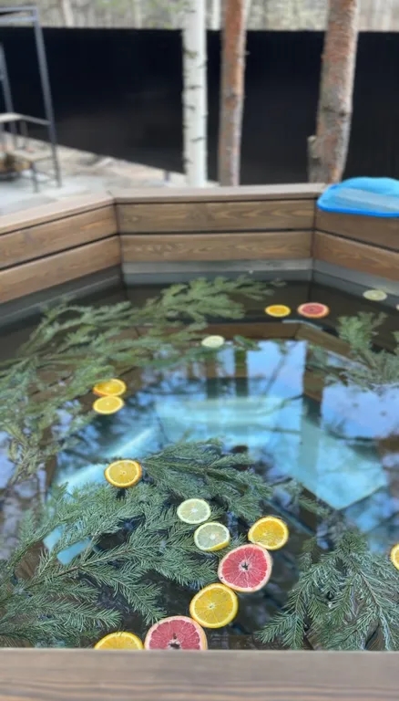 Гостевой дом с баней и чаном в лесу