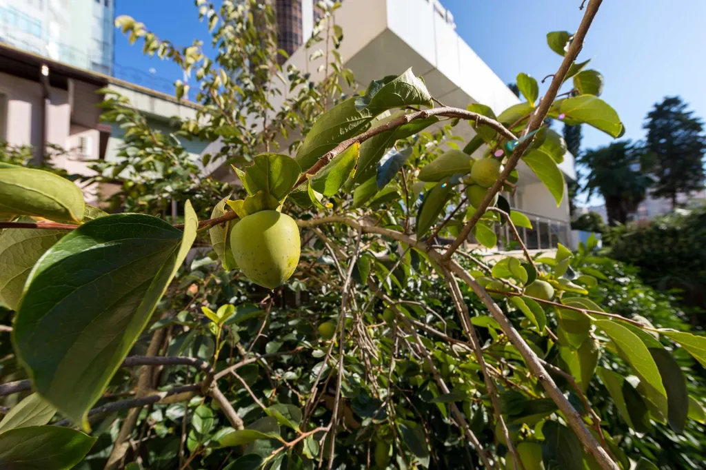 Уютный коттедж в самом центре