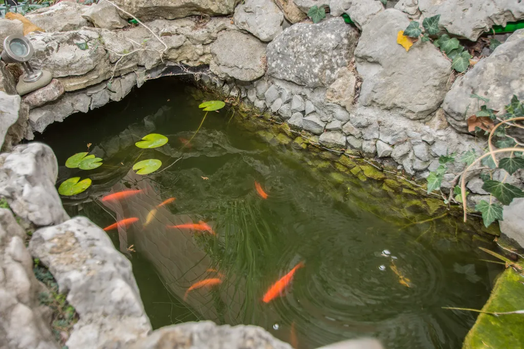 Апартаменты Андеграунд с видом на море