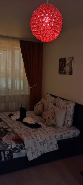 Zebra от Resident Ufa