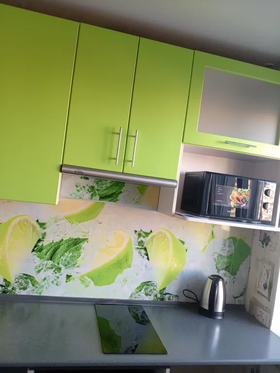 Уютная квартира в центре левобережья — аренда посуточно в Омск