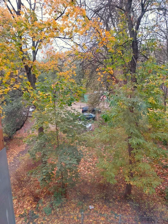 Двушка в тихом дворе