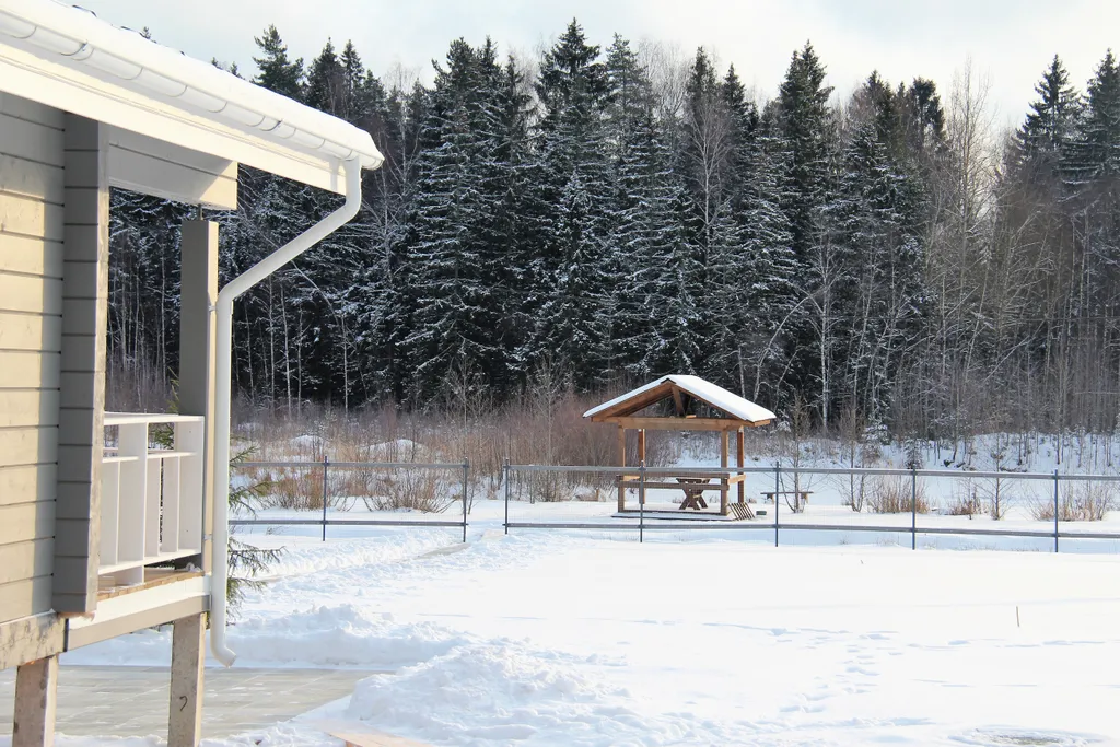 Дом на берегу озера у леса