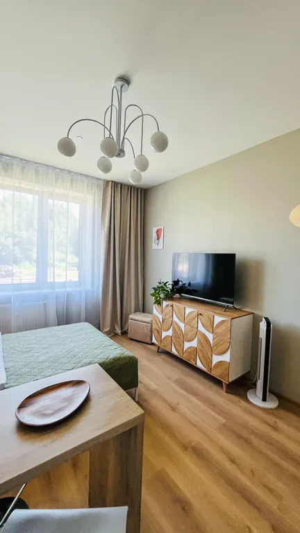 Квартира Квартира Уютная студия в Песочном — Песочный