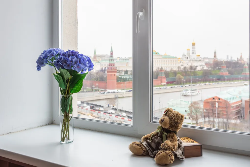 Квартира в доме правительства с видом на кремль