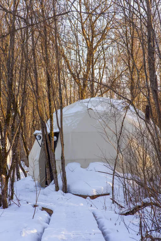 Коттедж Панорамный всесезонный купол с видом в лес — Сиверский