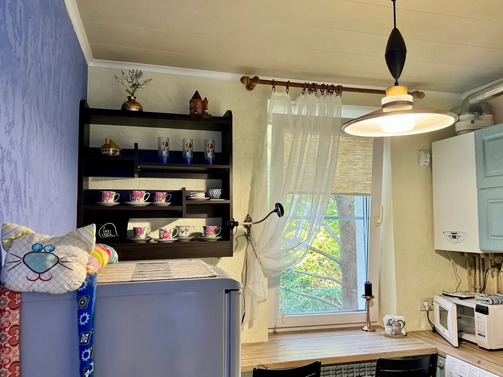 Мяу-квартира на Курортном проспекте