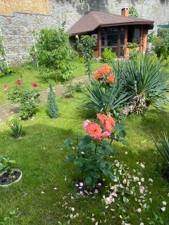 SPA-дом в Ялте. Бассейн круглый год, сауна, 10 соток рая+треккинг.