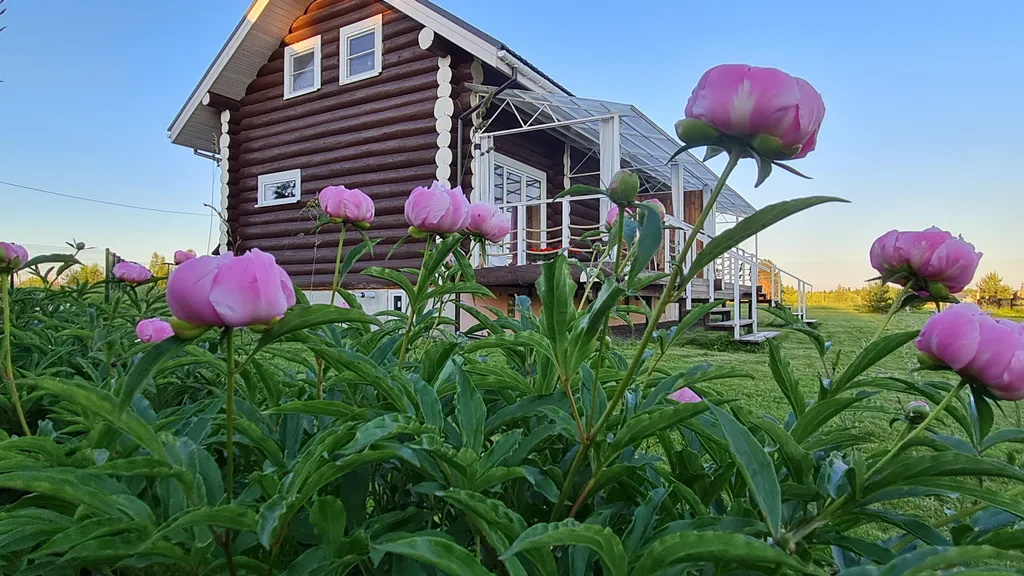 Гостевой дом на берегу лесного озера