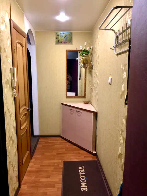 Апартаменты Драная кошка