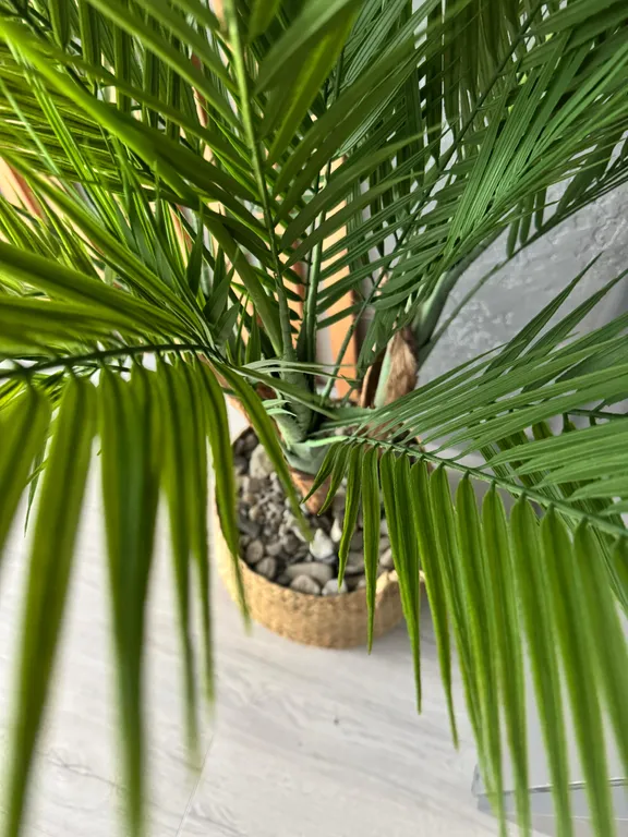 Студия в стиле Loft