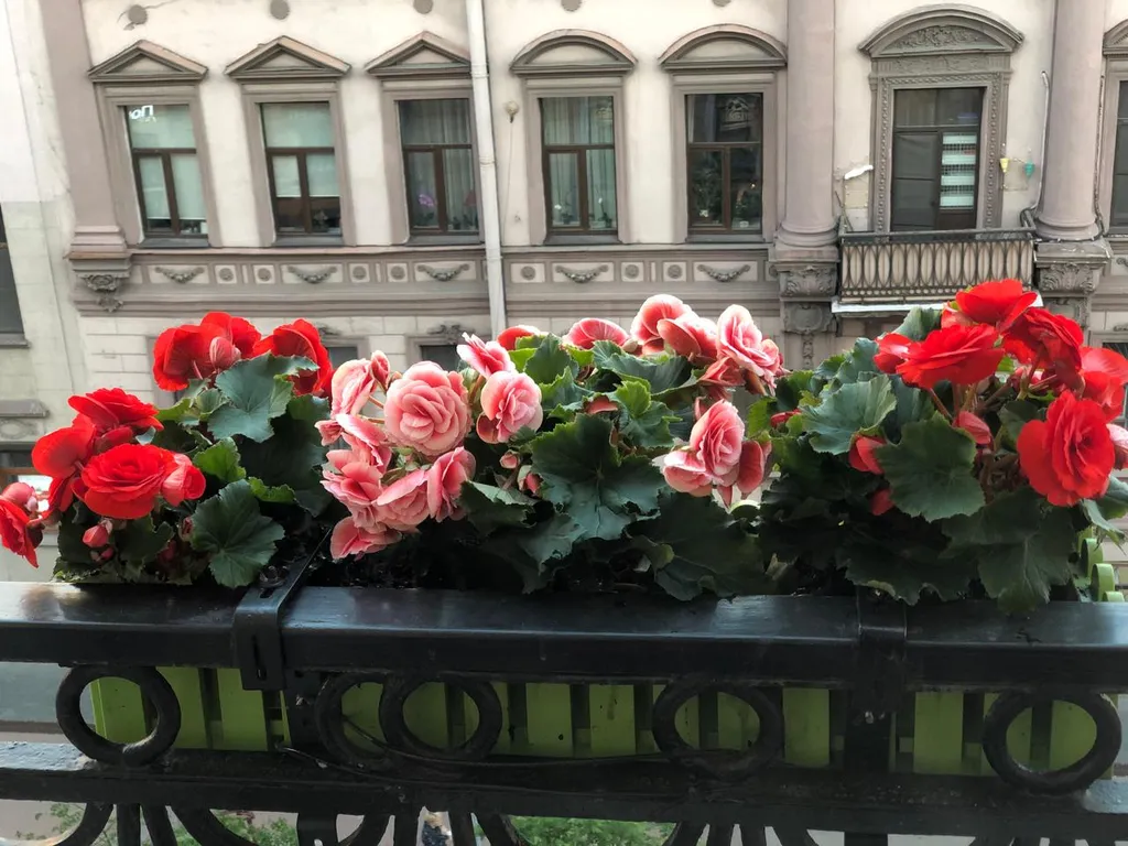 Квартира Стильная квартира в центре с балконом и видом на пешеходную улицу — Санкт-Петербург
