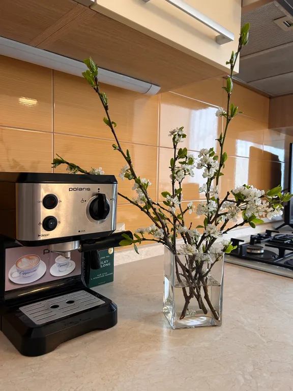 Уютные и красивые апартаменты в центре города