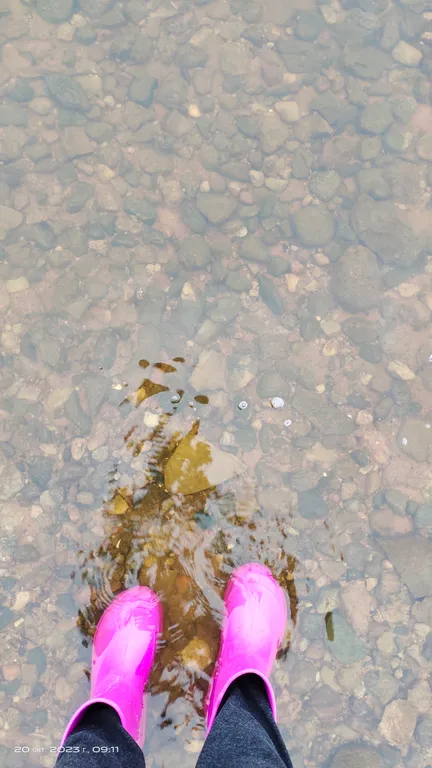 Коттедж Дом для гостей с камином на озере Волго, всесезонный отдых и рыбалка — Завирье