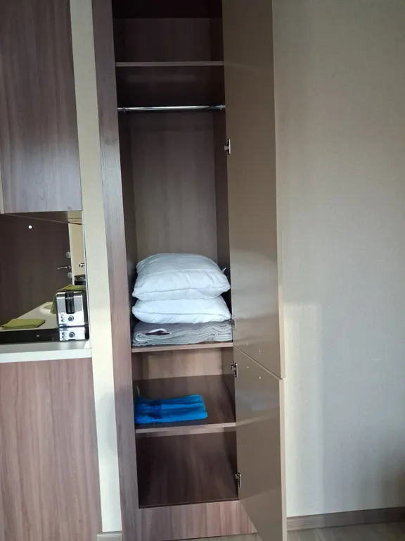 Уютная квартира на Снеговой пади