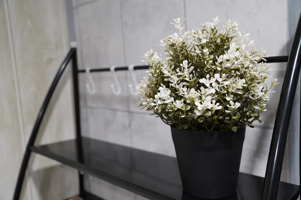 Просторная квартира рядом с сосновым бором у Днепра