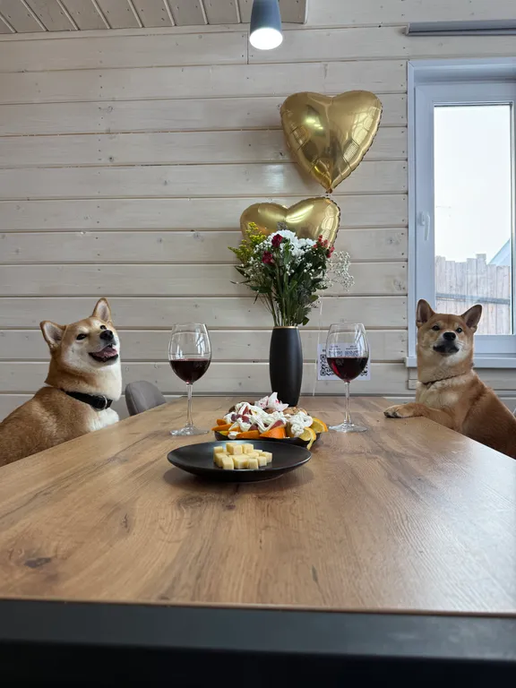 Новый дом в стиле барн Хаус на берегу реки