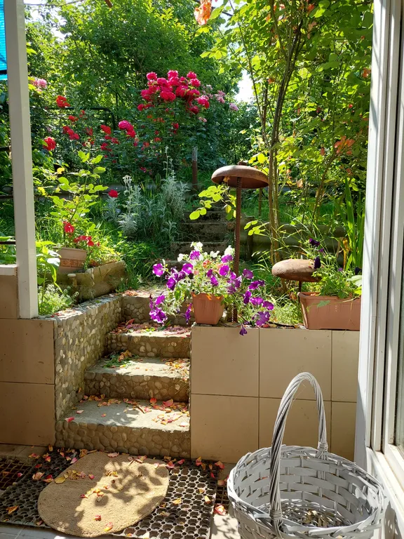 Коттедж Дом в бамбуках в 500 метрах от моря — аренда посуточно в Хоста