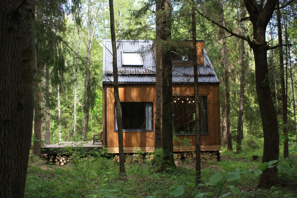 Домик в лесу на берегу Плещеева Озера