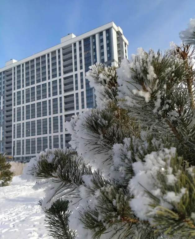 Квартира Монро