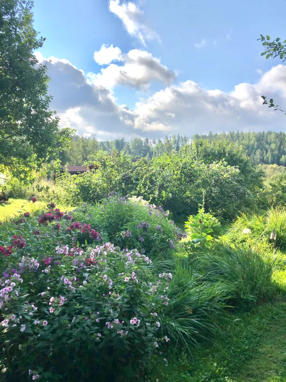 Бунгало у озера