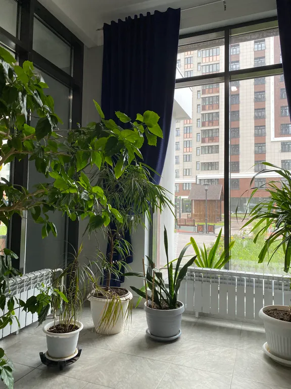 1-комнатная Квартира