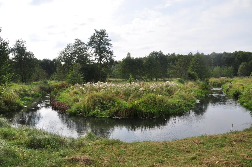 Хутор Избушка на опушке леса, возле реки