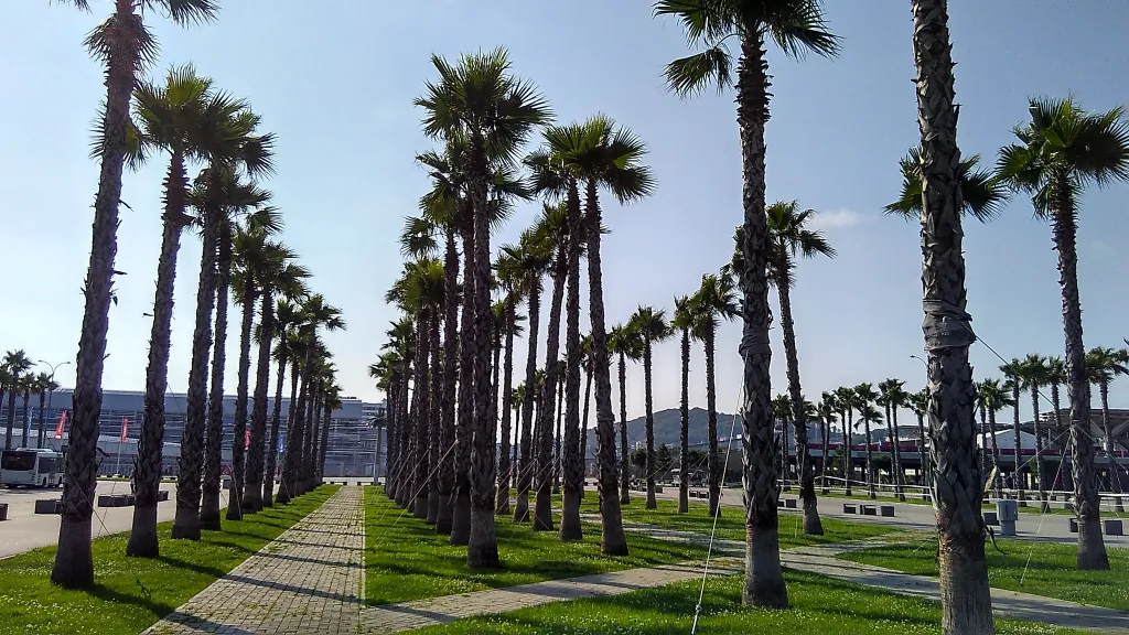 Квартира 1-комнатная квартира — Сириус