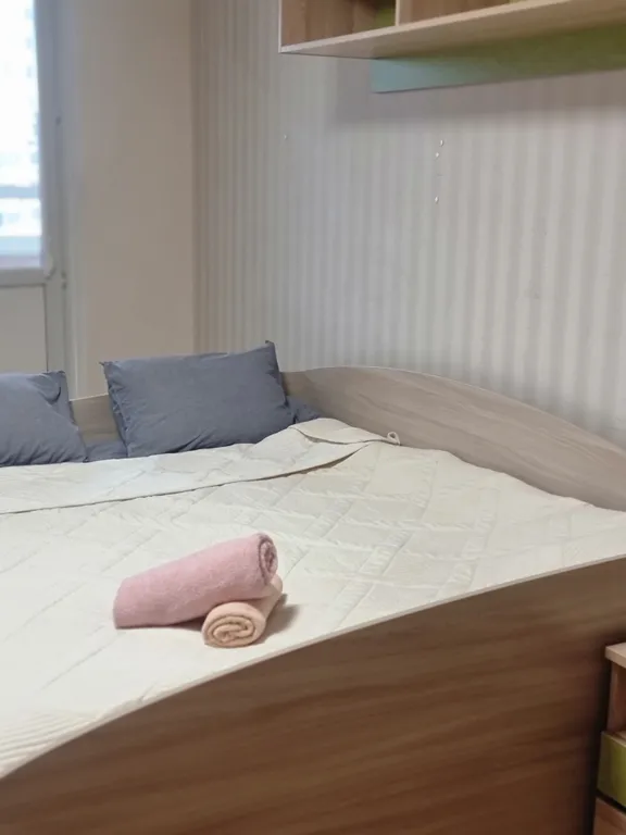 Квартира у аэропорта Внуково