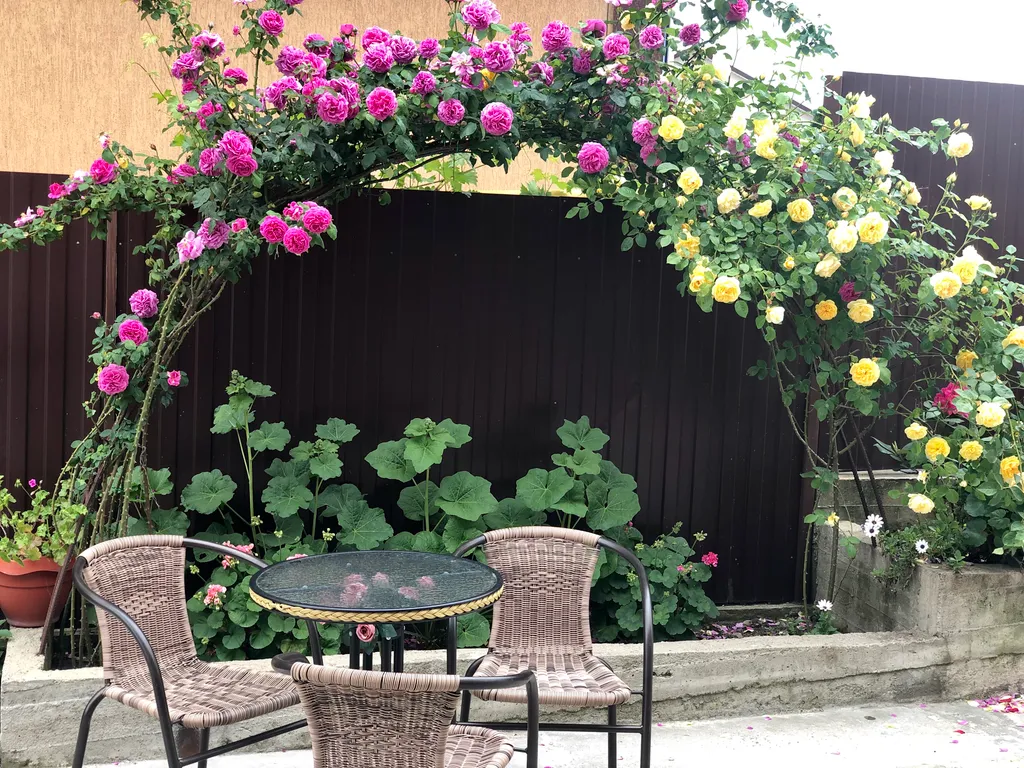 Квартира Комната — Адлер